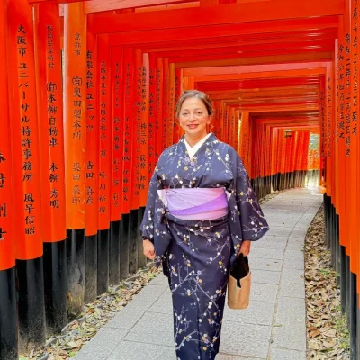 Maysa Japan dress 2
